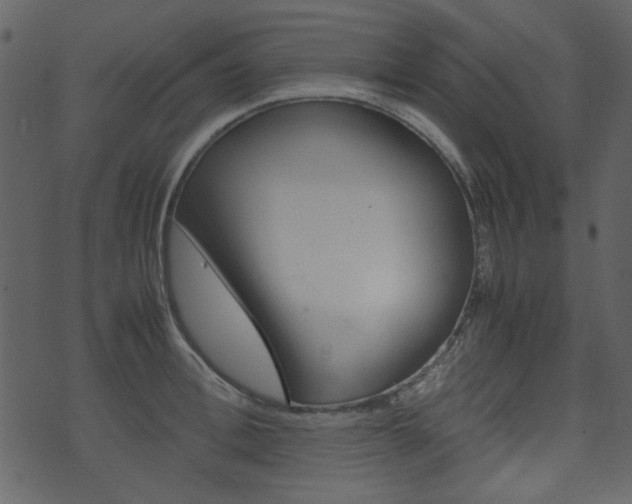 X0000074290996200608250923