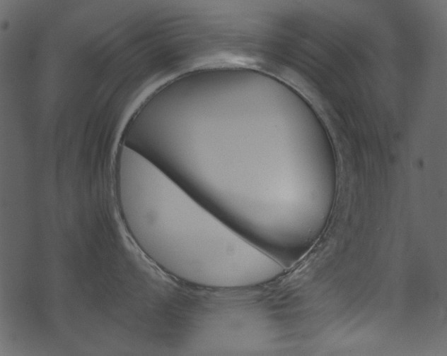 X0000074291008200608250922