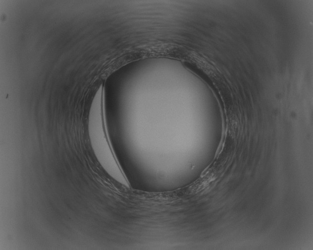 X0000074291010200608250922