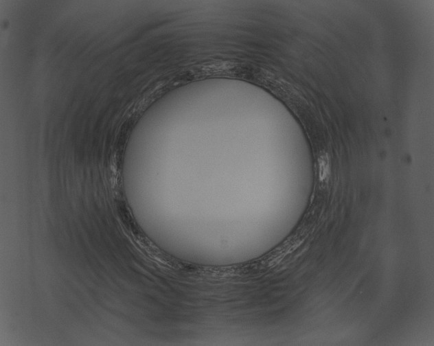 X0000074291011200608250922