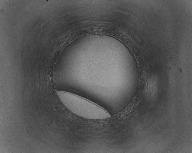 X0000074291013200608250922
