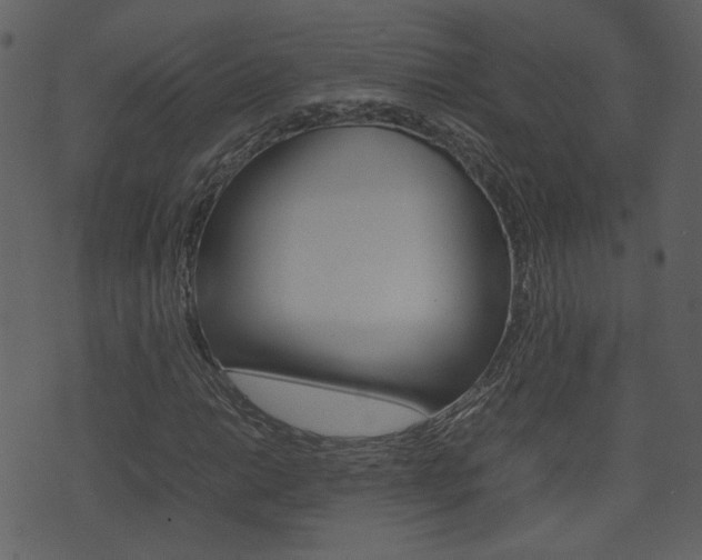 X0000074291014200608250922