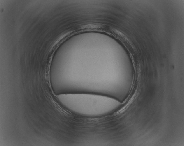 X0000074291017200608250922