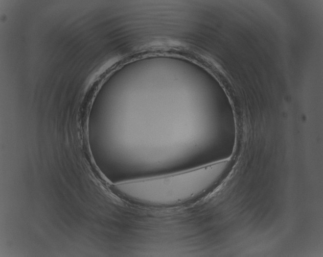 X0000074291018200608250922