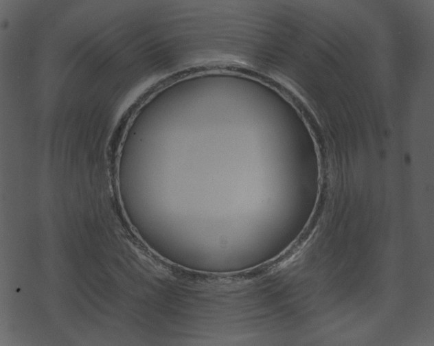 X0000074291022200608250922