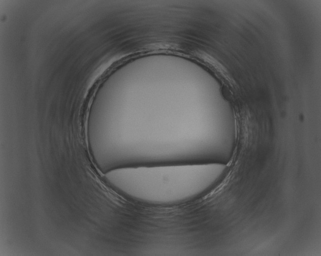 X0000074291023200608250922