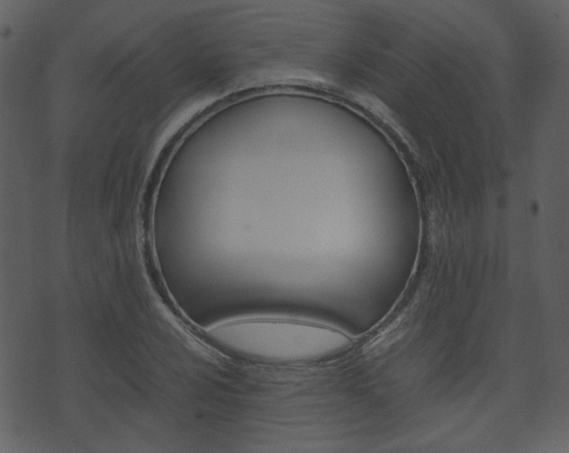 X0000074291024200608250922