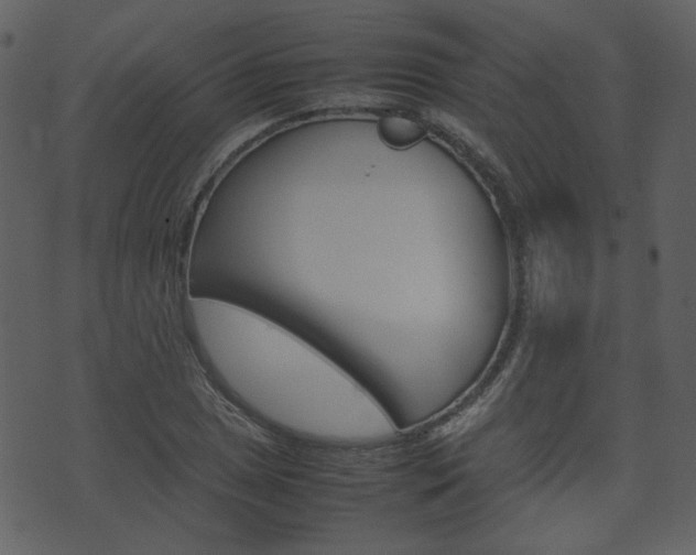 X0000074291025200608250922