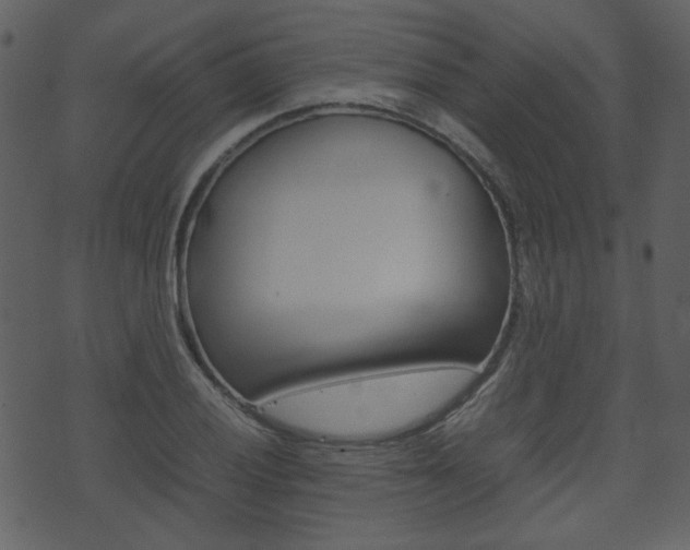 X0000074291028200608250922