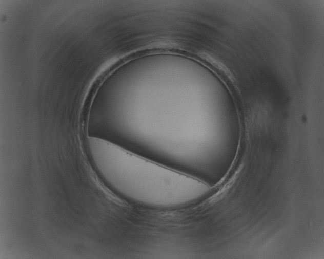 X0000074291029200608250922