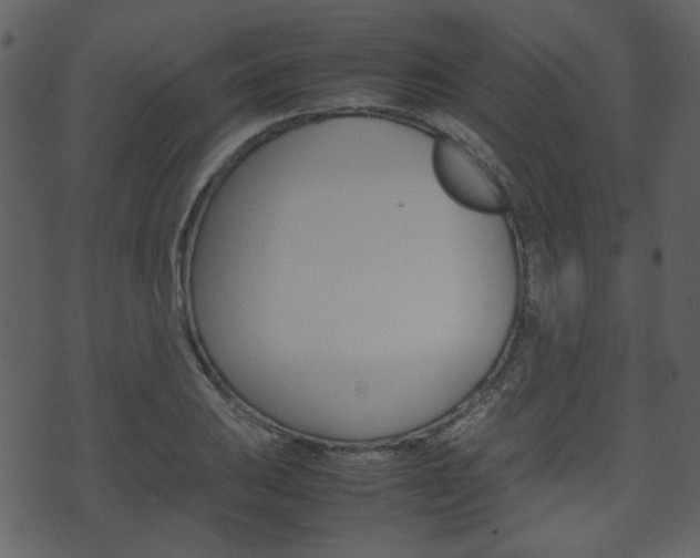 X0000074291031200608250922