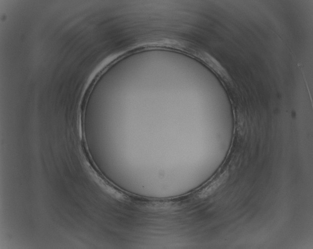 X0000074291036200608250922