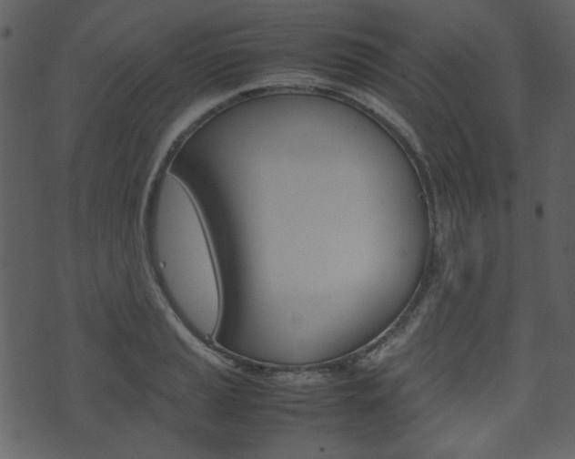 X0000074291037200608250922
