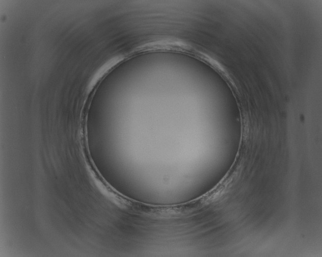 X0000074291042200608250922