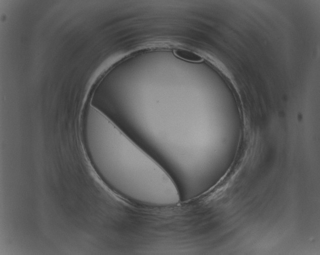 X0000074291045200608250922