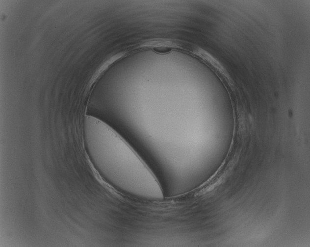 X0000074291049200608250922