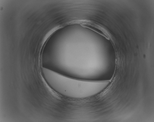 X0000074291050200608250922