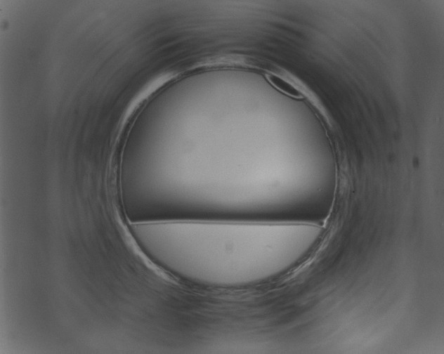 X0000074291053200608250922