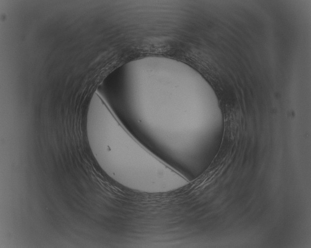 X0000074291058200608250922
