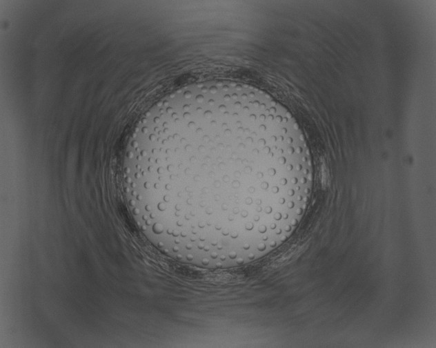 X0000074291059200608250922