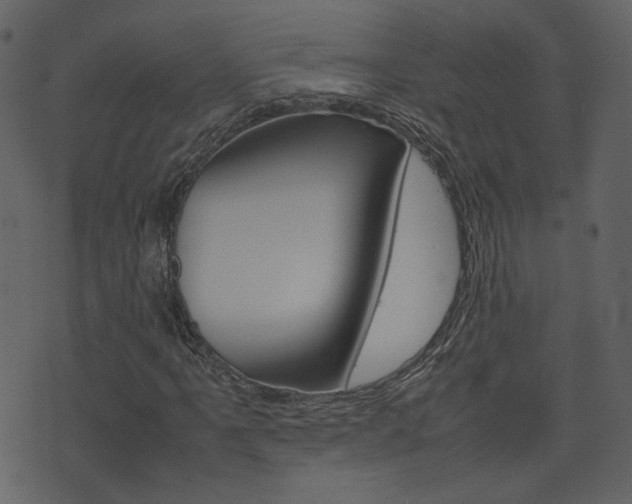 X0000074291061200608250921