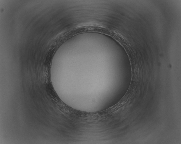 X0000074291062200608250921