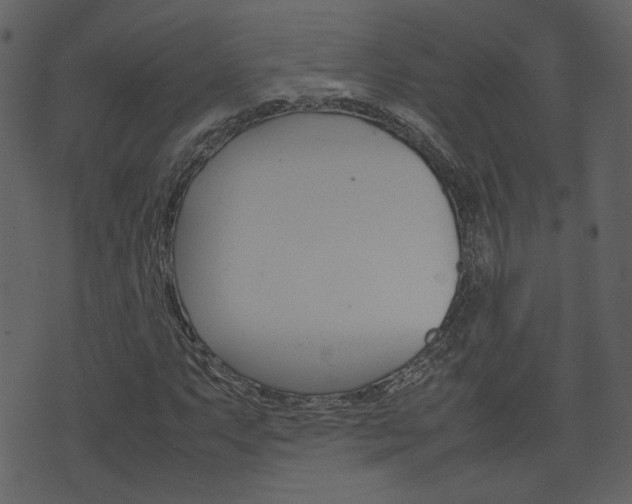X0000074291063200608250921