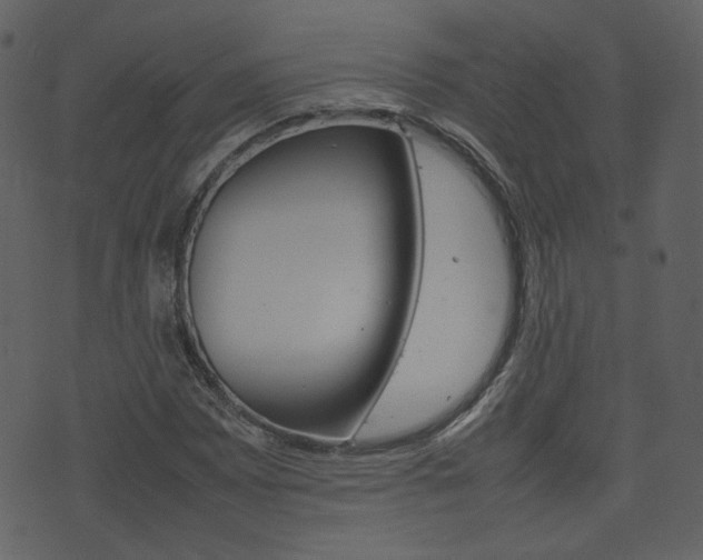 X0000074291065200608250921