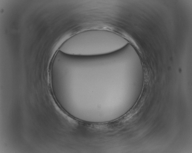X0000074291095200608250921