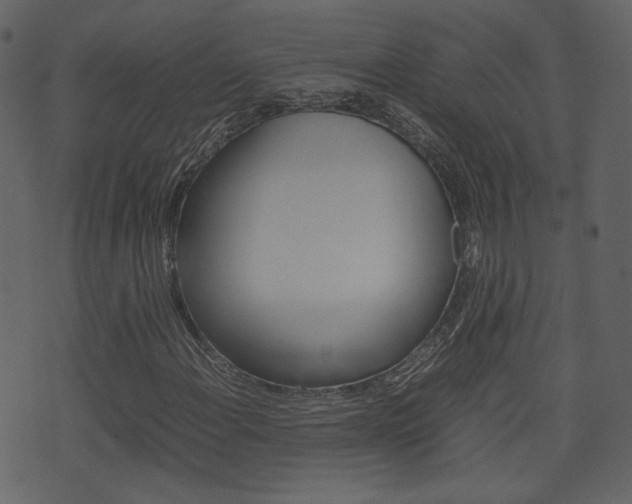 X0000074291108200608250920