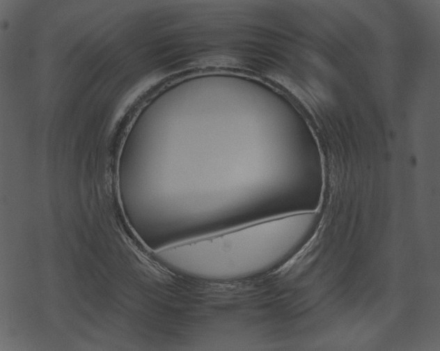 X0000074291115200608250920