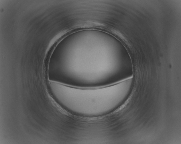 X0000074291122200608250920