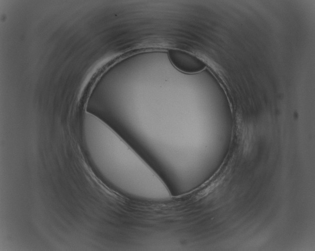 X0000074291123200608250920