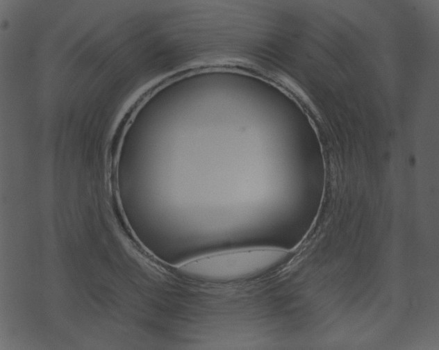 X0000074291124200608250920