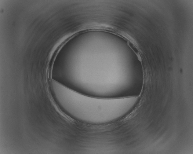 X0000074291128200608250920