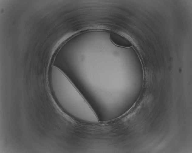 X0000074291133200608250920