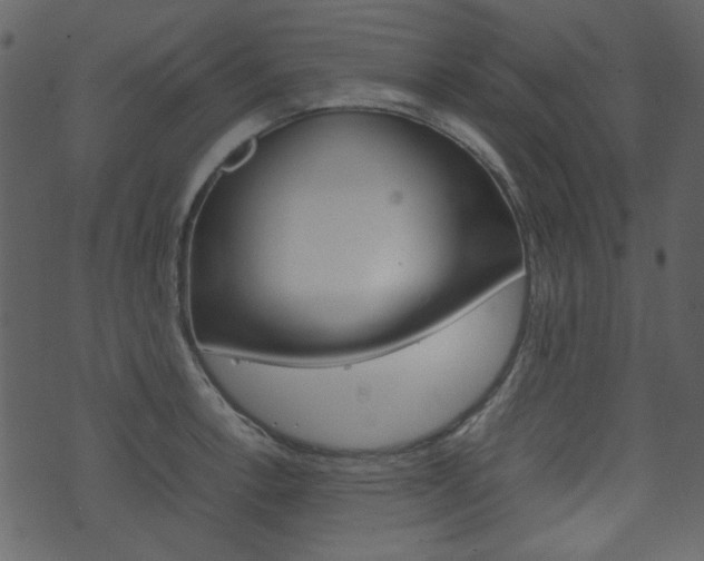 X0000074291138200608250921