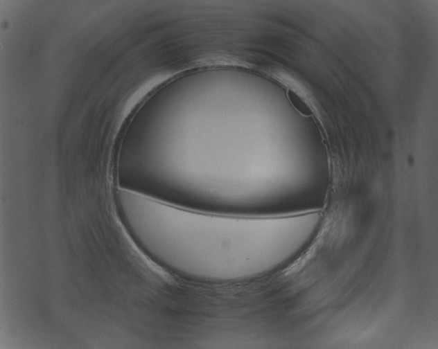 X0000074291141200608250921