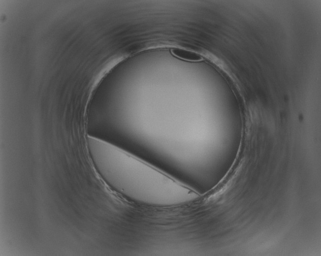 X0000074291145200608250921