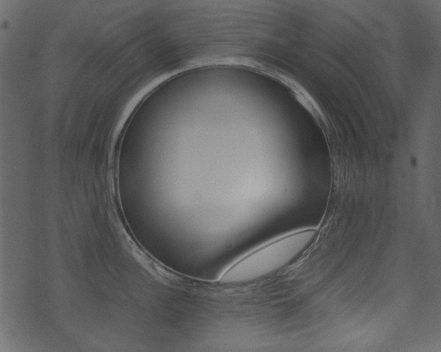 X0000074291148200608250921