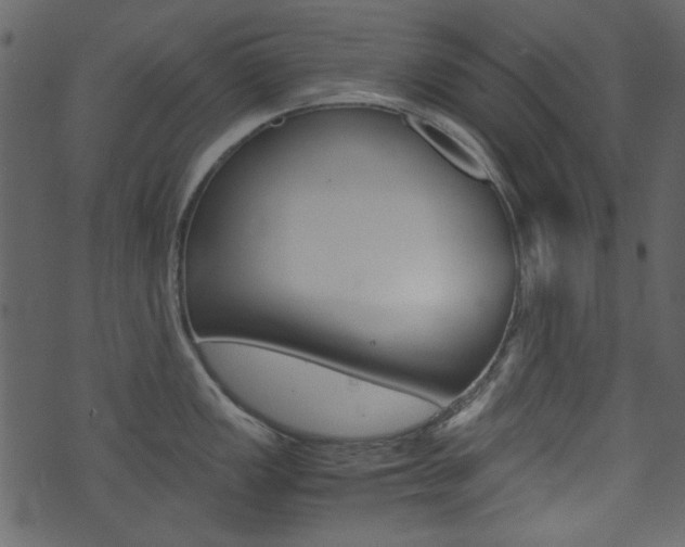 X0000074291149200608250921