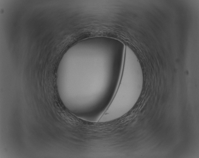 X0000074291153200608250920