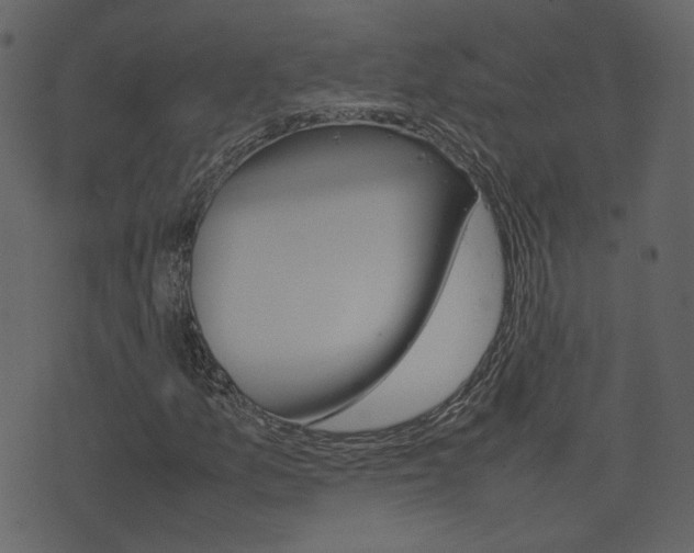 X0000074291157200608250920