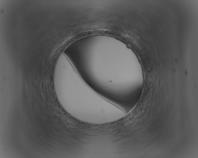 X0000074291159200608250920