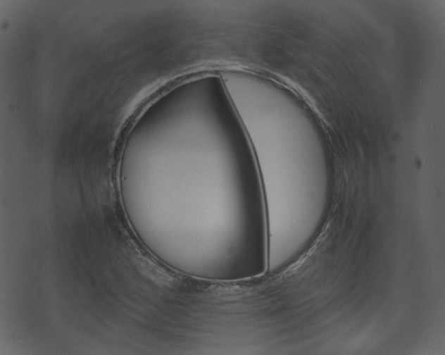 X0000074291168200608250920