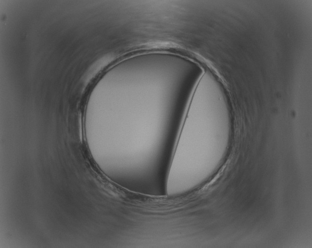 X0000074291171200608250920