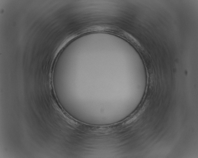 X0000074291178200608250920