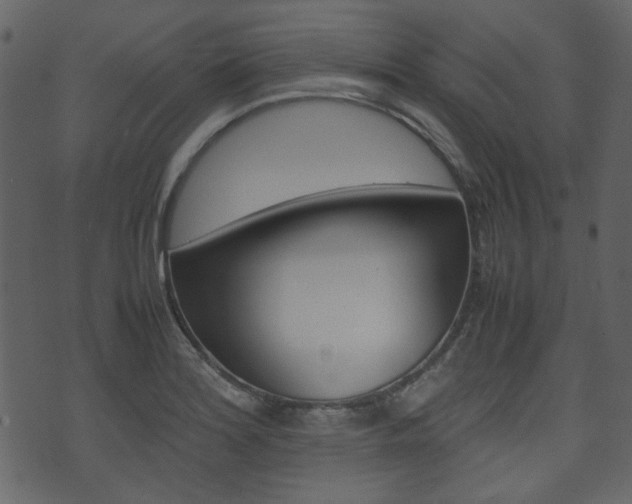 X0000074291180200608250920