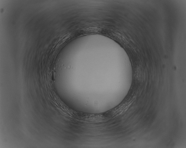 X0000074291201200608250918