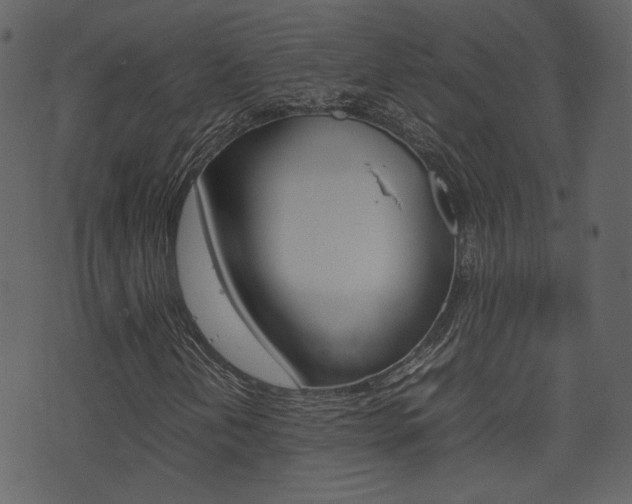 X0000074291202200608250918